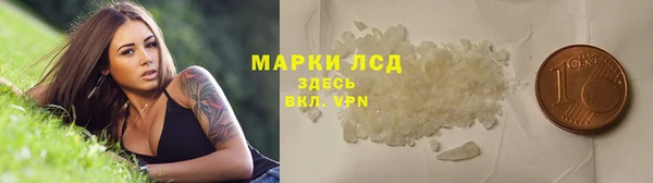 гидра Алексин