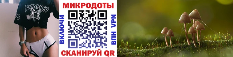 Псилоцибиновые грибы Cubensis  Гаджиево 